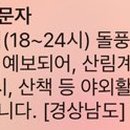 월성자연캠핑야영장 이미지