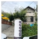 풀뿌리 흑두부 이미지