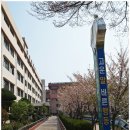 학진초등학교 이미지