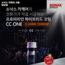 소낙스양천