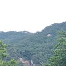 23년7월8일토 충북제천월악산계곡 이미지