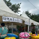 부산근교 물놀이 가성비 따지면 절대적 1위의 취사가능한 &#39;울산 자수정 동굴나라 물놀이장&#39;