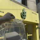 모랫말근린공원 공중화장실 | 월곡동 샌드위치 맛집 샐요뜨 월곡점 불고기 샌드위치 다이어트 맛집 추천