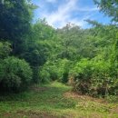 회룡리 3층석탑 이미지