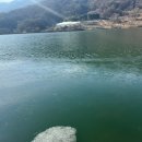 증평인삼탕 이미지