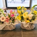 라피오레 이미지