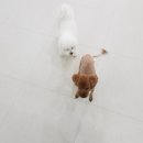 욜로호텔 이미지