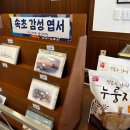 속초회물회