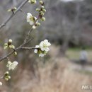 상예동-12 이미지