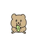 베이크러스트