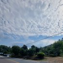 동읍1239 이미지