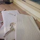 올리비아 | 하로월드 쁘띠라뺑 올리비아 하이가드 원목 아기침대 / 내돈내산 실사용 후기