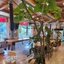 스타벅스 양주광사DT점 이미지