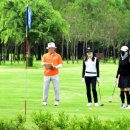 화천읍사무소 이미지