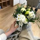 어반네이처 이미지