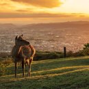 가족이 함께 만드는 공예나라 이미지