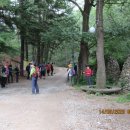 경기 양주시 장흥면 노고산(老姑山,487m) 이미지