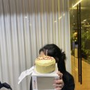 [일상] 뭉치면 주먹밥 흩어지면