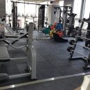 바디짐휘트니스 이미지