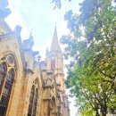 도매왕국 | 광저우 석실 성심 대성당 완전 정복! 감성 여행 코스