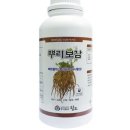 썰퍼팜