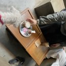 홍성인농장 이미지