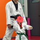 용인대하가태권도 이미지