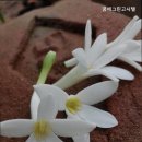 꿈에그린고시텔