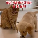 Bee Gees - Holiday 이미지