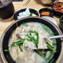 권돼지국밥 | 진주 로컬 현지인 국밥 맛집 칠암동 권돼지국밥