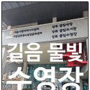 🏊‍♂️시설 깔끔한 물빛 수영장 자유수영 후기! 서울 실내 수영장 추천 🌊✨
