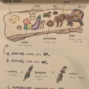 마마타타 네이버블로그