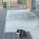 결운로_1 이미지