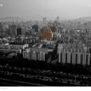 주식회사부동산중개법인비 이미지