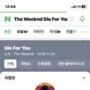 먼치오케이