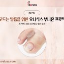 레푸스죽전새터점