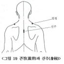 氣界 5(전우편 제4장 경락의 면역 작용) 이미지