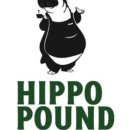 이호운동장 이미지