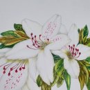 [주말]보테니컬 아트 이미지