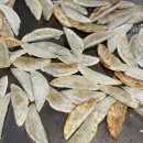 담양참사랑병원 이미지