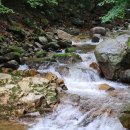 사유의숲 이미지