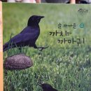 까치반점 - 금산군 비단로 77 | 까치반점