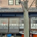 화순 부춘정 이미지