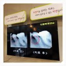 보일치과의원 이미지