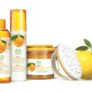 (주)더 케어 이미지