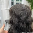 바이설 이미지