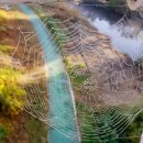 노을이슬 이미지