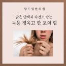 맘드림한의원 이미지