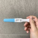 둘만농장 | EP.01 신혼일상 시작과 동시에 6-7주차 임신일기 ㅎㅎㅎ