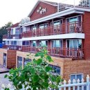 테라피민박 이미지